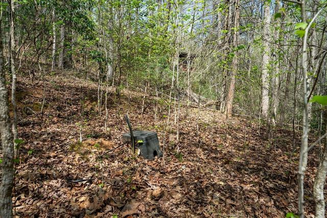 94 Cherry Lake Court, Blue Ridge, GA 30513