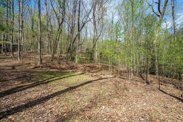 94 Cherry Lake Court, Blue Ridge, GA 30513