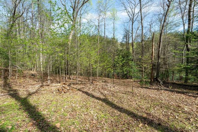 94 Cherry Lake Court, Blue Ridge, GA 30513