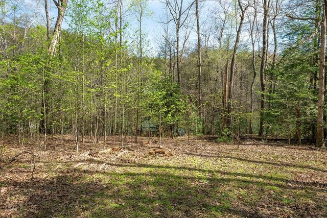 94 Cherry Lake Court, Blue Ridge, GA 30513
