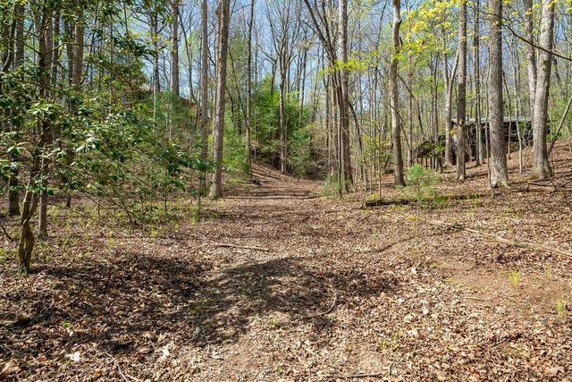 94 Cherry Lake Court, Blue Ridge, GA 30513