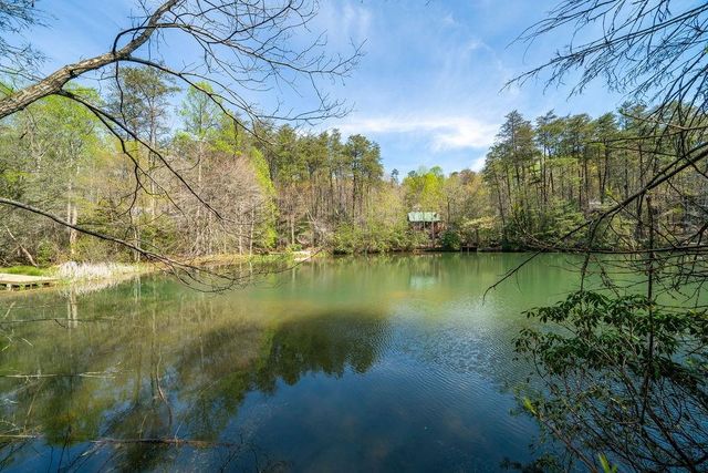 94 Cherry Lake Court, Blue Ridge, GA 30513