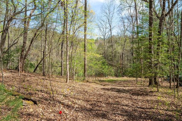 94 Cherry Lake Court, Blue Ridge, GA 30513