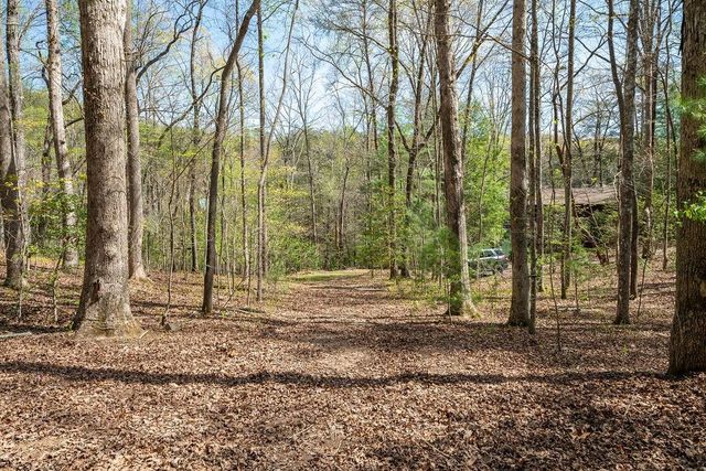 94 Cherry Lake Court, Blue Ridge, GA 30513
