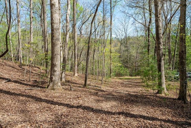 94 Cherry Lake Court, Blue Ridge, GA 30513