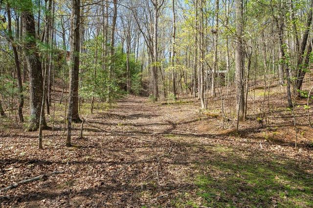 94 Cherry Lake Court, Blue Ridge, GA 30513