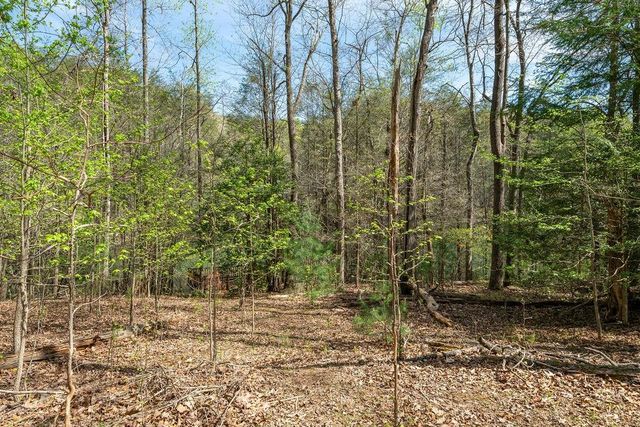 94 Cherry Lake Court, Blue Ridge, GA 30513