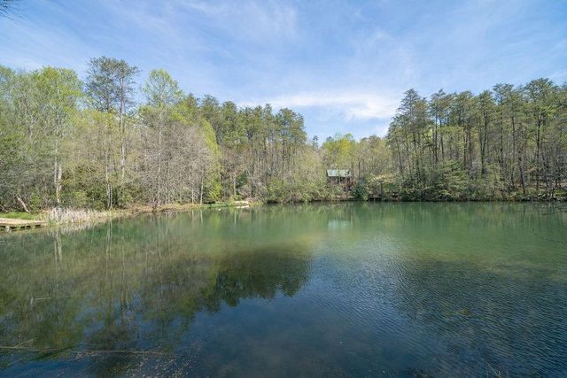 94 Cherry Lake Court, Blue Ridge, GA 30513