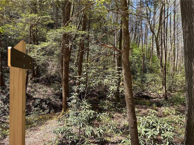 94 Cherry Lake Court, Blue Ridge, GA 30513