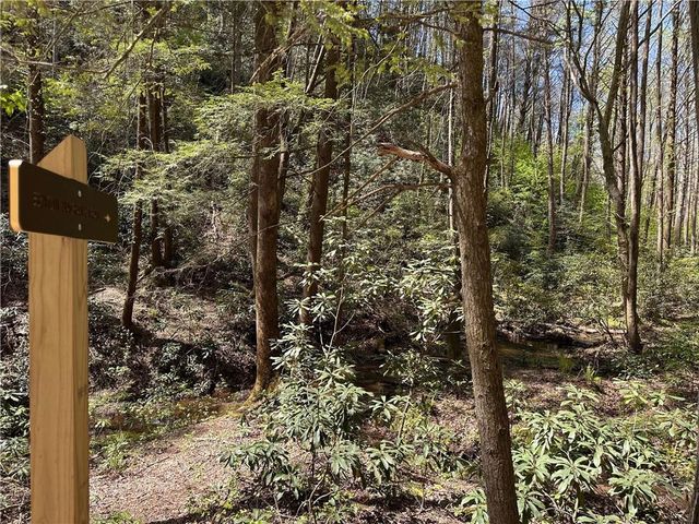 94 Cherry Lake Court, Blue Ridge, GA 30513