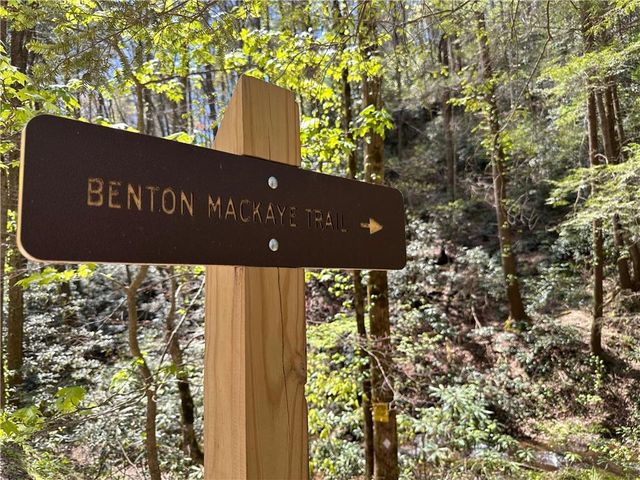 94 Cherry Lake Court, Blue Ridge, GA 30513