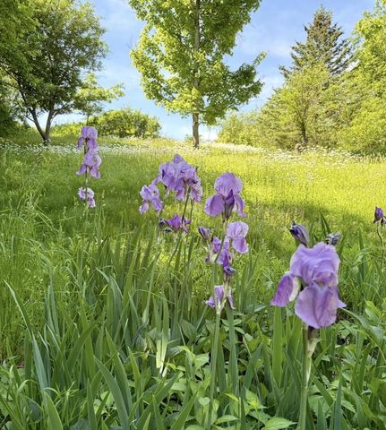W2875 Kniep ROAD, Elkhorn, WI 53121
