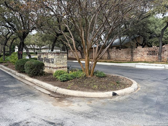 12907 Kings Forest, San Antonio, TX 78230
