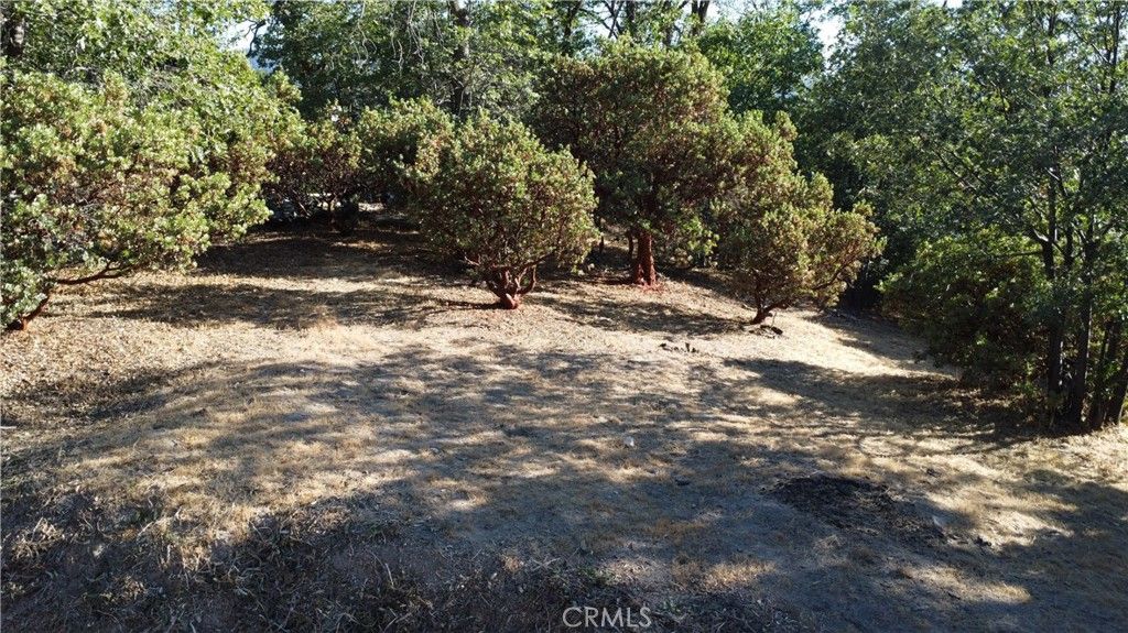 Image 11 of property listing at 1248 Glacier Drive, Lake Arrowhead, CA 92352