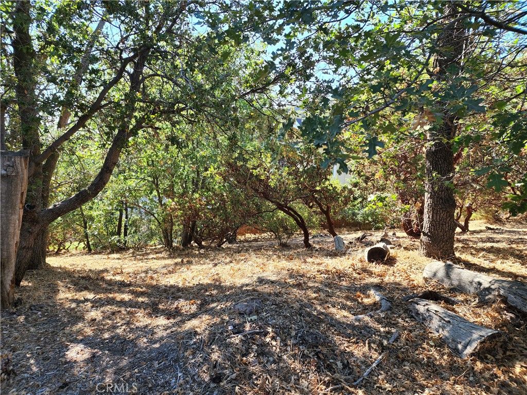 Image 2 of property listing at 1248 Glacier Drive, Lake Arrowhead, CA 92352