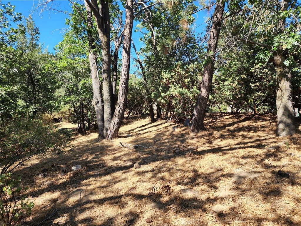 Image 7 of property listing at 1248 Glacier Drive, Lake Arrowhead, CA 92352