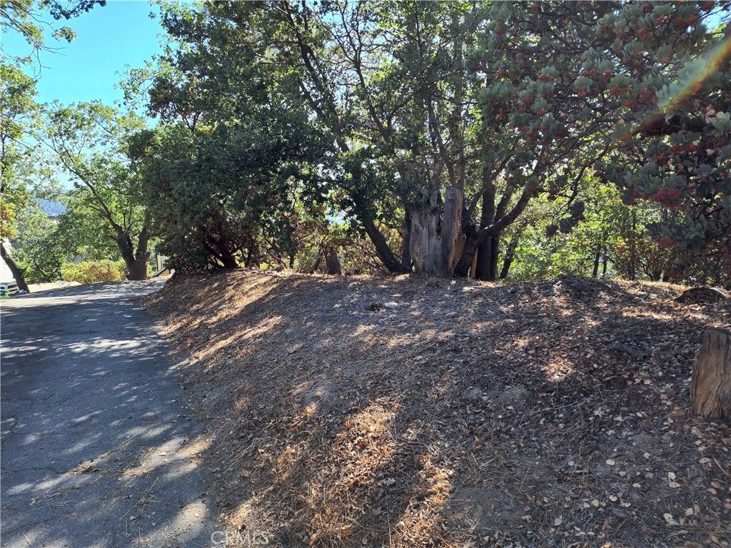 Image 8 of property listing at 1248 Glacier Drive, Lake Arrowhead, CA 92352