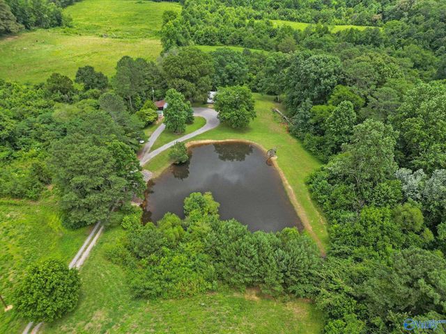 295 County Road 1834, Arab, AL 35016