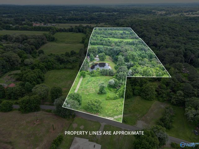 295 County Road 1834, Arab, AL 35016