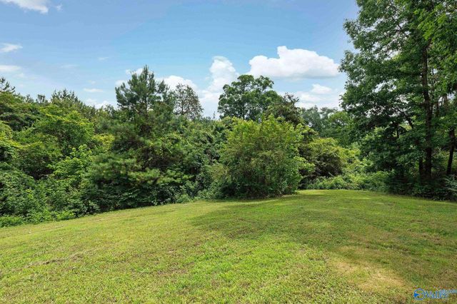 295 County Road 1834, Arab, AL 35016