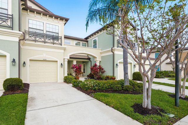 11636 CROWNED SPARROW LANE, Tampa, FL 33626