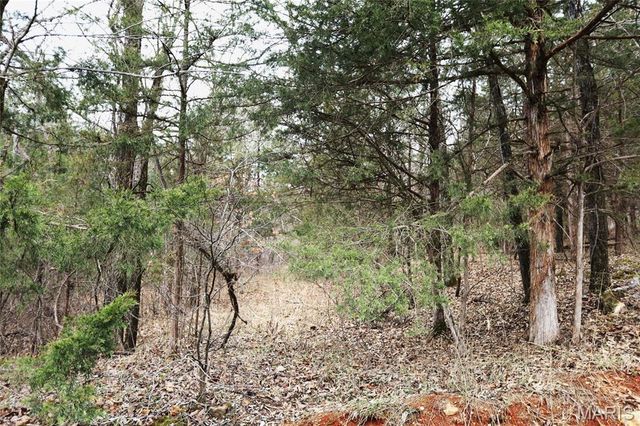 00 Roderick Road, Cadet, MO 63630