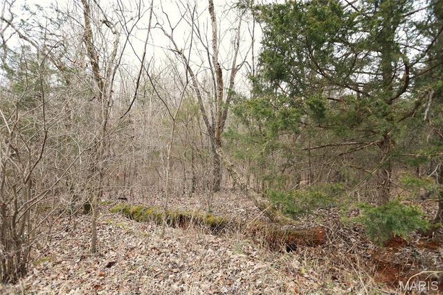 00 Roderick Road, Cadet, MO 63630