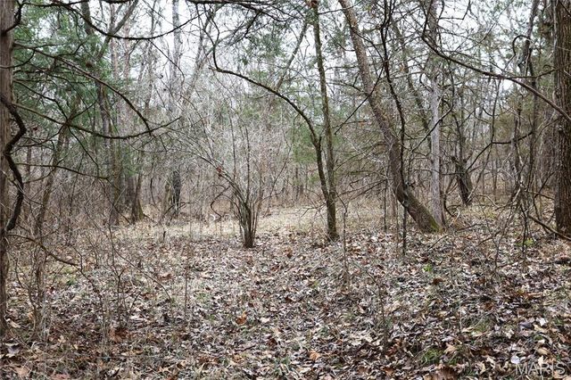 00 Roderick Road, Cadet, MO 63630