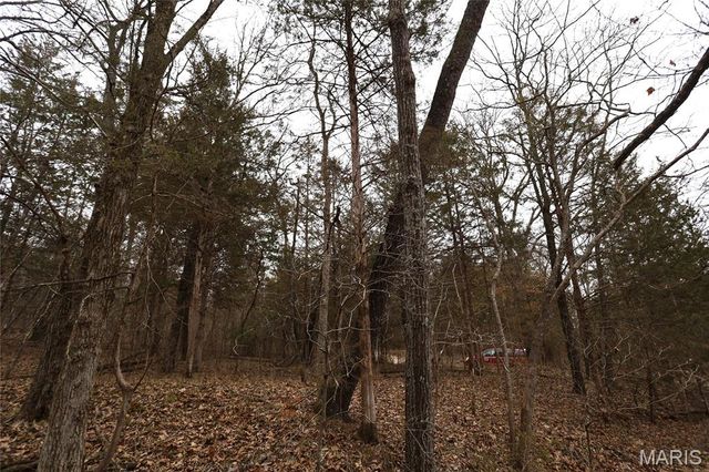 00 Roderick Road, Cadet, MO 63630