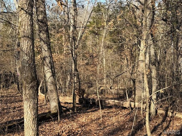 00 Roderick Road, Cadet, MO 63630