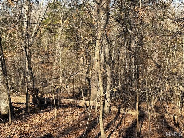 00 Roderick Road, Cadet, MO 63630