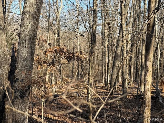 00 Roderick Road, Cadet, MO 63630
