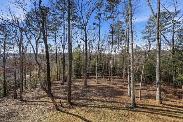 218 Highland Pointe Drive, Ellijay, GA 30536