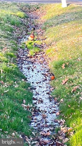 2203 HAMBROOKS BLVD, Cambridge, MD 21613