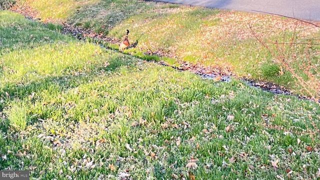 2203 HAMBROOKS BLVD, Cambridge, MD 21613