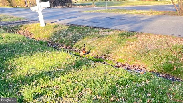 2203 HAMBROOKS BLVD, Cambridge, MD 21613