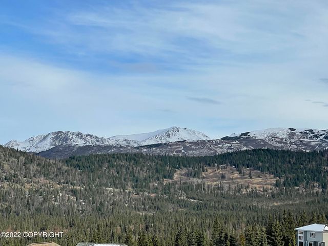 L3 B1 Sandpiper Drive, Anchorage, AK 99516