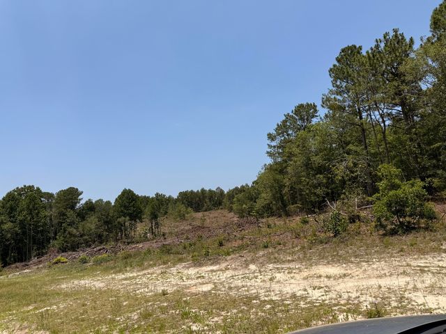 380 Windy Ridge Road, Trenton, SC 29847