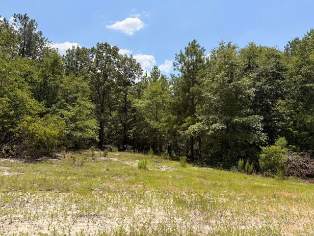 380 Windy Ridge Road, Trenton, SC 29847