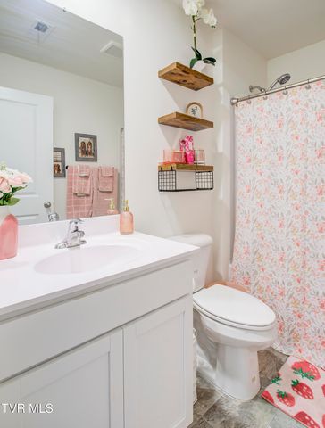 389 Arrowhead Drive, Johnson City, TN 37601