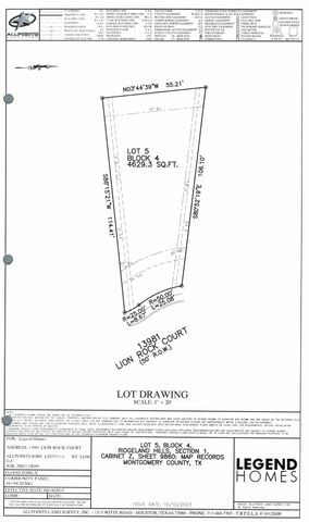 13981 Lion Rock Court, Willis, TX 77318