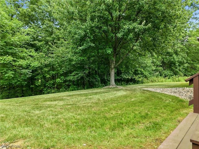 1453 Tripodi Circle C, Niles, OH 44446