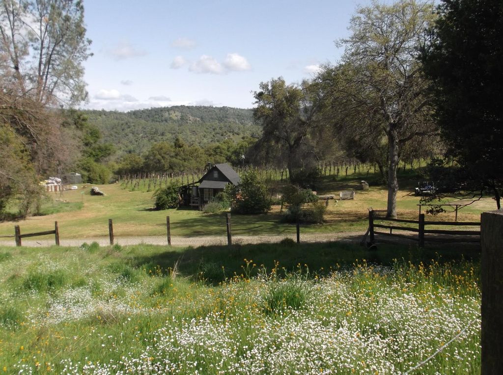 Image 12 of property listing at 49610 House Ranch Road, O Neals, CA 93645