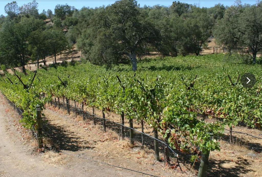 Image 9 of property listing at 49610 House Ranch Road, O Neals, CA 93645