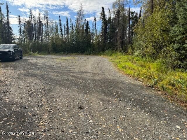 15785 E Greenleaf Drive, Talkeetna, AK 99676