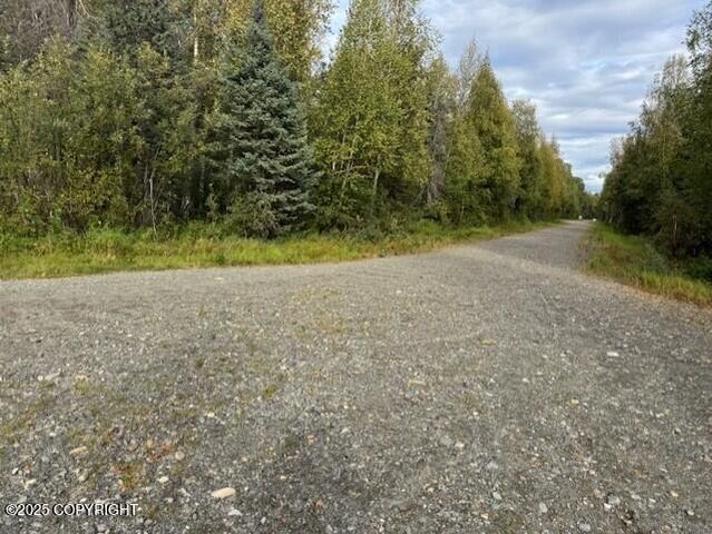 15785 E Greenleaf Drive, Talkeetna, AK 99676