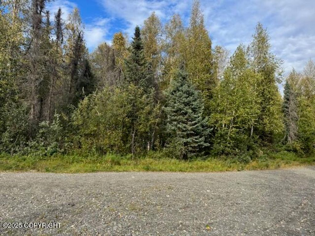 15785 E Greenleaf Drive, Talkeetna, AK 99676
