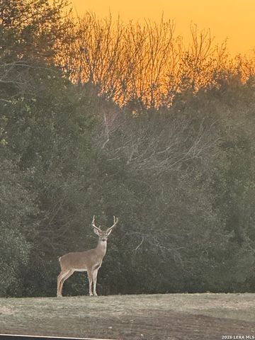 2063 Cotton Gin, New Braunfels, TX 78130