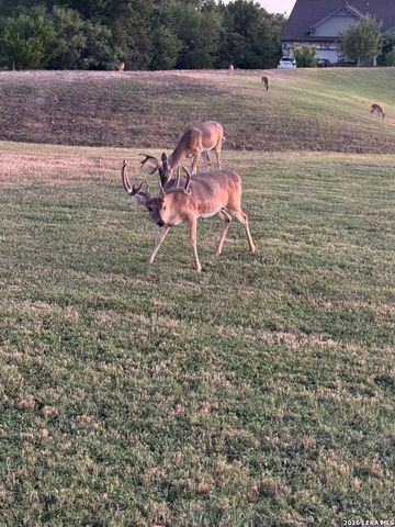 2063 Cotton Gin, New Braunfels, TX 78130