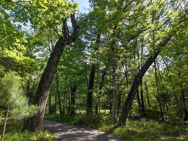 1120 Bighorn Drive, Arkdale, WI 54613